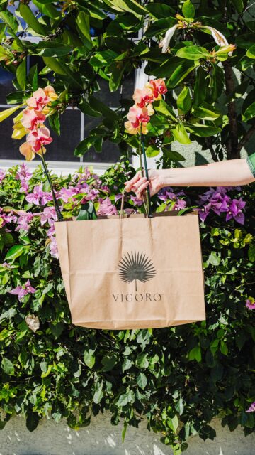 Orchids hold their beauty longer than a bouquet and settle into a home with a softer kind of romance. 

Some blooms don’t need roses to feel like valentines. If you’re gifting something this year, give that special someone the plant that stays! 

#vigoronursery #caymanislands #caymangardening #orchids