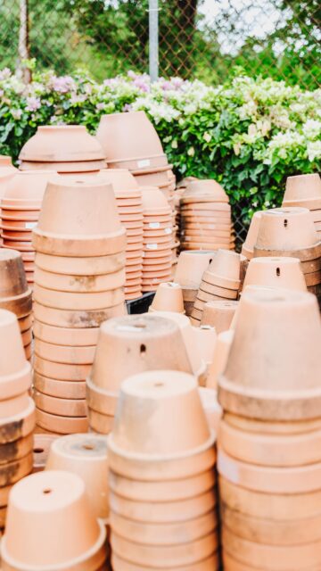 Celebrating the annual Agriculture Show with a few garden essentials on special.

📍 Agricola Drive
🕘 Open 9am–5pm

Enjoy discounts on terracotta pots, ceramic pots and soils while they last.

Perfect timing for a little February reset.

#vigoronursery #caymanislands #caymangardening #islandliving