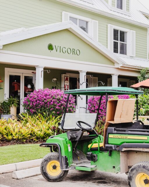 There’s a reason so many Cayman gardens begin at Vigoro. We’ve been here a long time, growing with the island, adapting to it and helping people shape the spaces they live. 

Some places are just part of the island’s rhythm.
Vigoro is one of them.