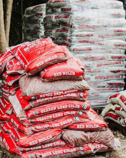 Mulch does more work than people think. In Cayman’s dry, windy months it:
 • keeps the soil cool
 • protects roots from the midday sun
 • slows moisture loss
 • and helps plants recover after rough weather

A simple layer of bark can change how your whole garden behaves.