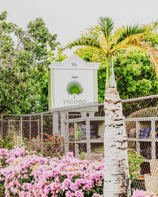 Tucked along Agricola Drive, this is where the rhythm of Vigoro really lives.

Plants arriving, pots moving, soil shifting, and gardeners wandering through looking for the next thing to take home.

If you haven’t visited our Agricola nursery yet, come by and have a walk through. There’s always something new growing.

 #GrowYourOwn #EdibleGardens #ElegantLiving #PlantLoversCayman