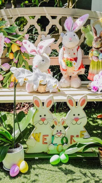 Easter at the nursery. Orchids, soft spring colours and a few familiar rabbits tucked between the plants. Our Easter collection has arrived and is now in store.
Stop by and take a look around.
#caymanislands #vigorocayman #caymangardening
