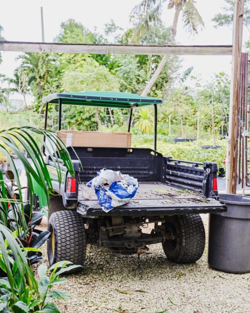 A few small moments from around the nursery.

It’s not just about the plants, it’s the feeling of being here. Slow, natural, and a little more grounded than the rest of the day.

Pop by when you have a moment.