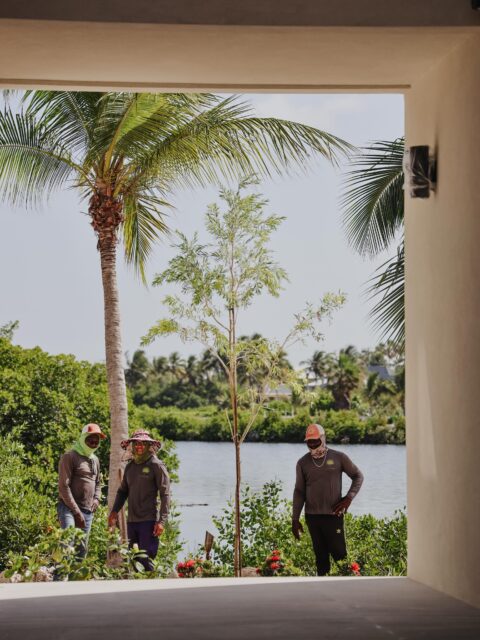Every landscape tells two stories. The one you see today and the one still to come.

Landscaping is coming along in Rum Point, artificial surfaces are going in and our team is hard at work shaping what will soon become a thriving outdoor space.

We can’t wait to see this one grow in.

#VigoroCayman #CaymanLandscaping #RumPoint #ArtificialSurfaces #GardenDesign