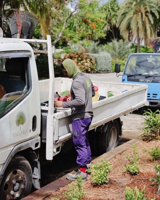 From pruning and planting to watering, feeding and keeping Cayman landscapes looking their best, our gardening team works quietly behind the scenes every day to help gardens flourish.

#VigoroCayman #GardenCare #CaymanLandscaping #GardeningTeam #LandscapeMaintenance #IslandLiving