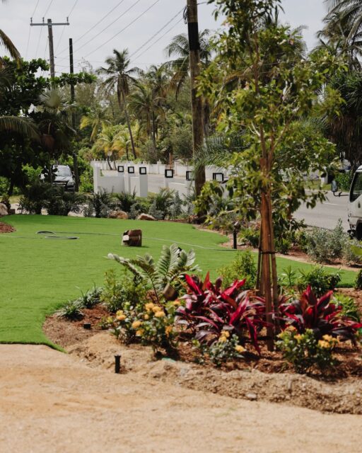 Not every space is suited to natural grass. High traffic areas, shaded corners, family spaces, and properties that need to look their best year-round can all benefit from a different approach.
Our premium artificial surfaces are designed to thrive in Cayman conditions, providing a lush, green finish with minimal maintenance and maximum durability.
Beautiful every season. Practical every day.
#VigoroCayman #LandscapeMaintenance #IslandLiving #GardenCare #CaymanLandscaping