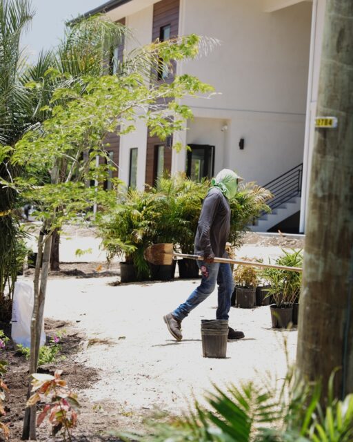 Every landscape begins with a team willing to do the hard work. Before the plants settle in and before the garden finds its rhythm, there's planning, digging, planting, shaping and countless hours under the Cayman sun.

Our landscaping team brings outdoor spaces to life across the island, one project at a time. Their work may start with bare ground, but it's what allows gardens to flourish for years to come.

 #IslandLiving #GardenCare #LandscapeMaintenance #VigoroCayman #CaymanLandscaping