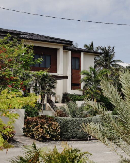 This Rum Point landscape has been planted, nurtured and maintained by the Vigoro team over time, allowing each layer to settle naturally into its surroundings. Today, the palms have found their place, the planting has matured and the space feels as though it's always belonged here.
Good landscapes are built in seasons, not days.
#LandscapeMaintenance #CaymanLandscaping #VigoroCayman #IslandLiving #GardenCare