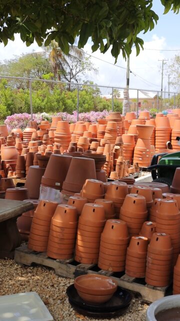 Our latest shipment of pottery has just arrived, with handcrafted Mexican pots, timeless ceramics, decorative planters and versatile styles for every corner of the home and garden.

The right pot doesn't just hold a plant, it gives it a place to belong.

Visit us in-store and discover the new collection while stocks last.