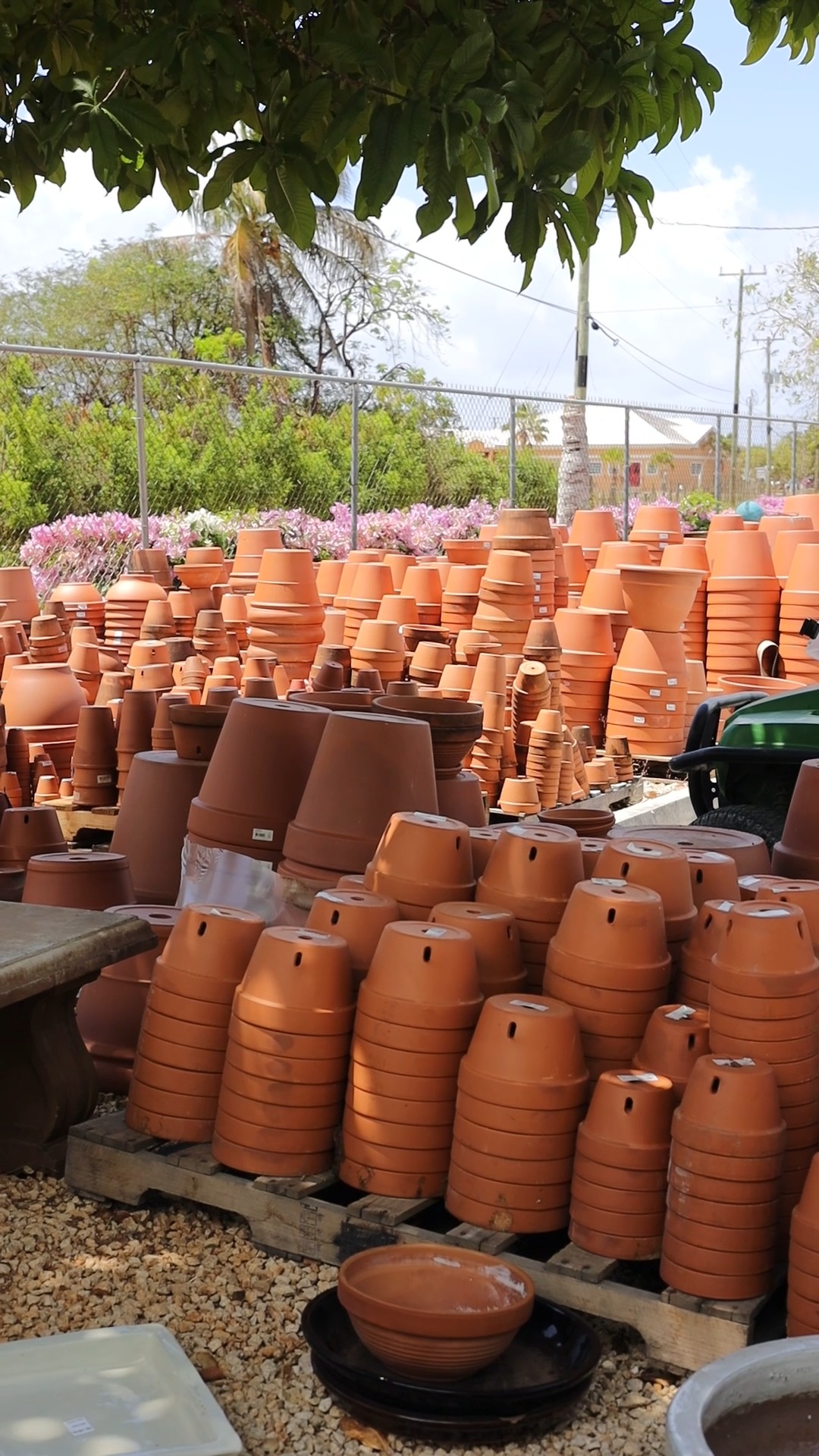 Our latest shipment of pottery has just arrived, with handcrafted Mexican pots, timeless ceramics, decorative planters and versatile styles for every corner of the home and garden.
The right pot doesn't just hold a plant, it gives it a place to belong.
Visit us in-store and discover the new collection while stocks last.