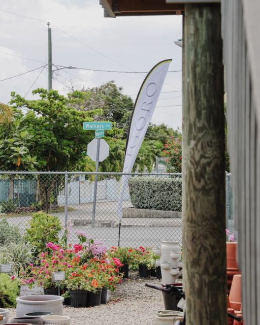 Whether you know exactly what you’re looking for or simply feel like having a wander, there’s always something worth discovering at Vigoro.

Come by, take your time and see what’s growing.

#VigoroCayman #WalkersRoad #CaymanGardening #GardenCentre #CaymanPlants #TropicalGardens #CaymanIslands #FromTheGroundUp