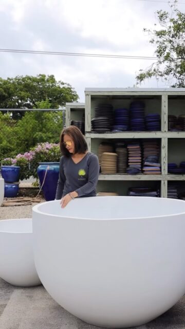 Designed to make an impact, these oversized pieces pair beautifully with mature palms and tropical planting to create spaces that feel considered from the moment you arrive.
Planning a property refresh or looking for that finishing touch? Come see the collection in person and let our team help you find the right combination of pots and planting for your space.
Available now at Vigoro.
#VigoroCayman #MavvisPots #CommercialLandscaping #CaymanHotels