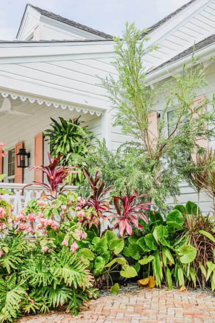 With over 40 years of experience in Cayman, our award-winning landscaping and design teams know how to create outdoor spaces that don't just look beautiful today, but continue to thrive for years to come.
Building a new home, developing a property or reimagining an existing landscape? Bring Vigoro in from the beginning.
From the first sketch to the final planting, we take care of it all.
Vigoro. From the Ground Up.
@botanicacayman
#VigoroCayman #CaymanLandscaping #LandscapeDesign #CaymanConstruction #CaymanProperty #TropicalLandscaping #FromTheGroundUp