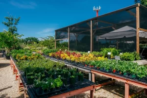 Vigoro at Agricola Drive