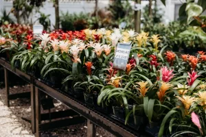 Vigoro on Walkers Road