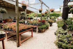 Vigoro on Walkers Road