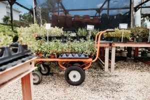 Vigoro on Walkers Road