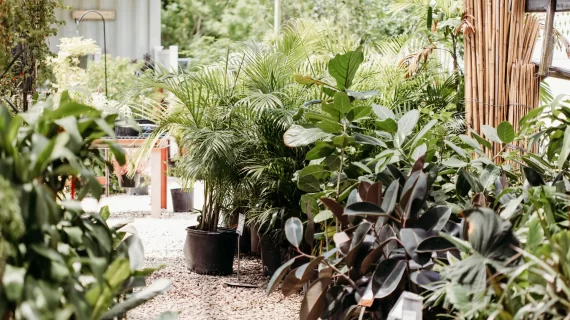 Vigoro on Walkers Road