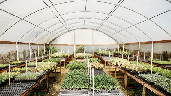 Vigoro at Agricola Drive