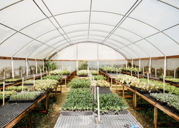 Vigoro at Agricola Drive